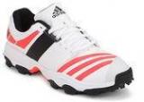 Adidas Twenty2yds Ar 14 White Cricket Men