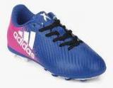 Adidas X 16.4 Fxg J Blue Football Shoes Boys