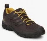 Adidas Xaphan Low Brown Outdoor Shoes Men