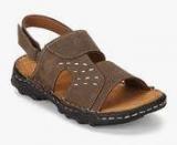 Aero Brown Sandals men