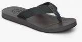 Aeropostale Grayland Grey Slippers Men