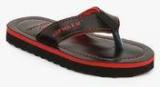 Airwalk Black Flip Flops Boys