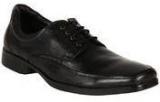 Alberto Torresi Black Derby Formal Shoes men