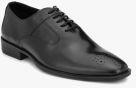 Alberto Torresi Black Oxfords Formal Shoes Men