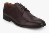 Alberto Torresi Brown Derby Brogue Formal Shoes men