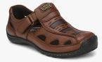 Alberto Torresi Brown Leather Shoe Style Sandals Men