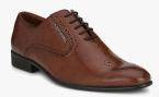 Alberto Torresi Brown Regular Oxfords Men