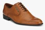 Alberto Torresi Tan Regular Oxfords Men