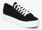 Alcott Black Casual Sneakers women