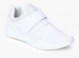 Alcott White Sneakers Men