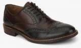 Aldo Alfred Brogue Brown Formal Shoes men