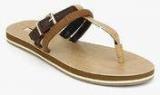 Aldo Lovea Brown Sandals women