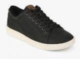 Aldo Sigrun Black Sneakers Men