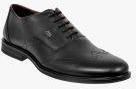 Allen Cooper Black Leather Regular Brogues Shoes Men