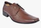 Allen Cooper Brown Derbys Shoes Men