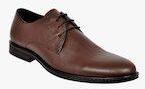 Allen Cooper Brown Leather Regular Derbys Men