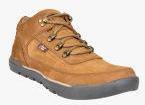 Allen Cooper Brown Outdoor Shoes Men