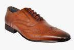 Allen Cooper Tan Leather Regular Brogues Shoes Men