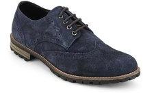 American Derby Polo Club Blue Brogue Lifestyle Shoes men