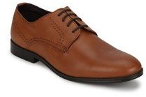 American Derby Polo Club Tan Dress Shoes men