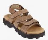 Andrew Scott Copper Sandals Men