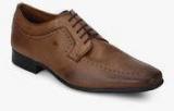 Arrow Acton Brown Derby Brogue Formal Shoes men