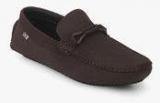 Arrow Astle Brown Loafers men