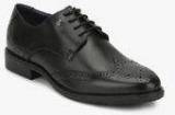 Arrow Black Derby Brogue Formal Shoes men