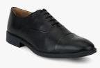 Arrow Black Solid Oxfords Men