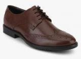 Arrow Brown Brogue Formal Shoes men