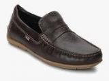 Arrow Brown Moccasins men