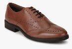 Arrow Brown Solid Oxfords Men