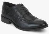 Arrow Cloey Black Brogue Formal Shoes Men