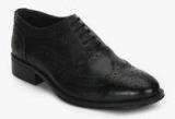 Arrow Cloey Oxford Black Brogue Formal Shoes Men