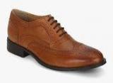 Arrow Cloey Oxford Tan Brogue Formal Shoes Men