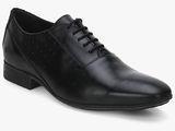 Arrow Des Black Oxford Formal Shoes Men