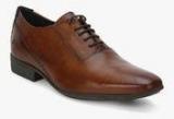 Arrow Des Tan Oxford Formal Shoes Men