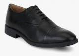 Arrow Elko Black Oxford Formal Shoes Men