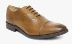 Arrow Elko Tan Oxford Formal Shoes men