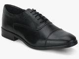 Arrow Gimps Black Oxford Formal Shoes Men