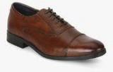 Arrow Gimps Brown Oxford Formal Shoes Men