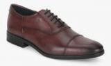 Arrow Gimps Maroon Oxford Formal Shoes Men