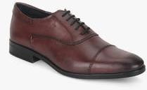 Arrow Gimps Maroon Oxford Formal Shoes men