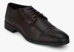 Arrow Grays Brown Derbys Formal Shoes Men