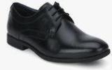 Arrow Hobbs Black Derby Formal Shoes Men