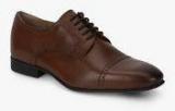 Arrow Kelso Brown Derby Formal Shoes Men