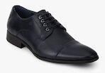 Arrow Kenny Navy Blue Formal Shoes Men