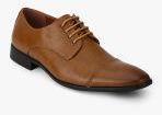 Arrow Kenny Tan Formal Shoes Men