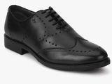 Arrow Luke Black Oxford Brogue Formal Shoes Men