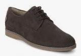 Arrow Lyon Brown Lifestyle Shoes men